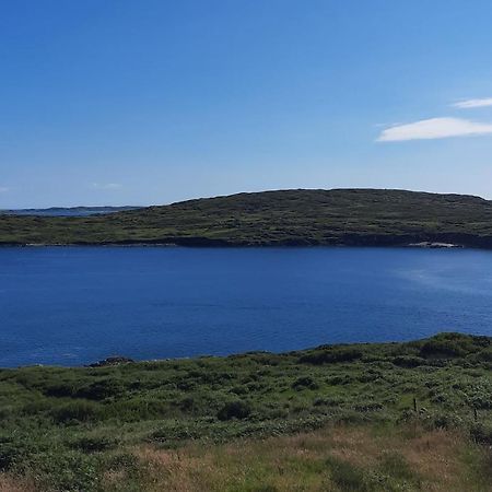 Conneelys Cottage, Connemara, Clifden, H71Y096 エクステリア 写真